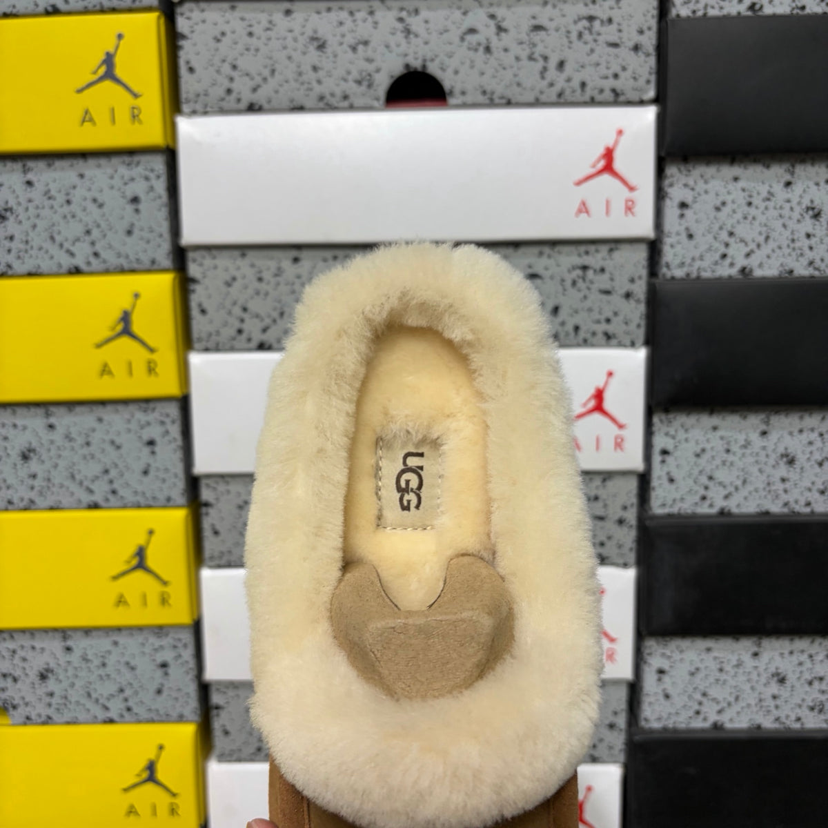 UGG Chestnut Moccasin Slippers with Cream Plush Collar